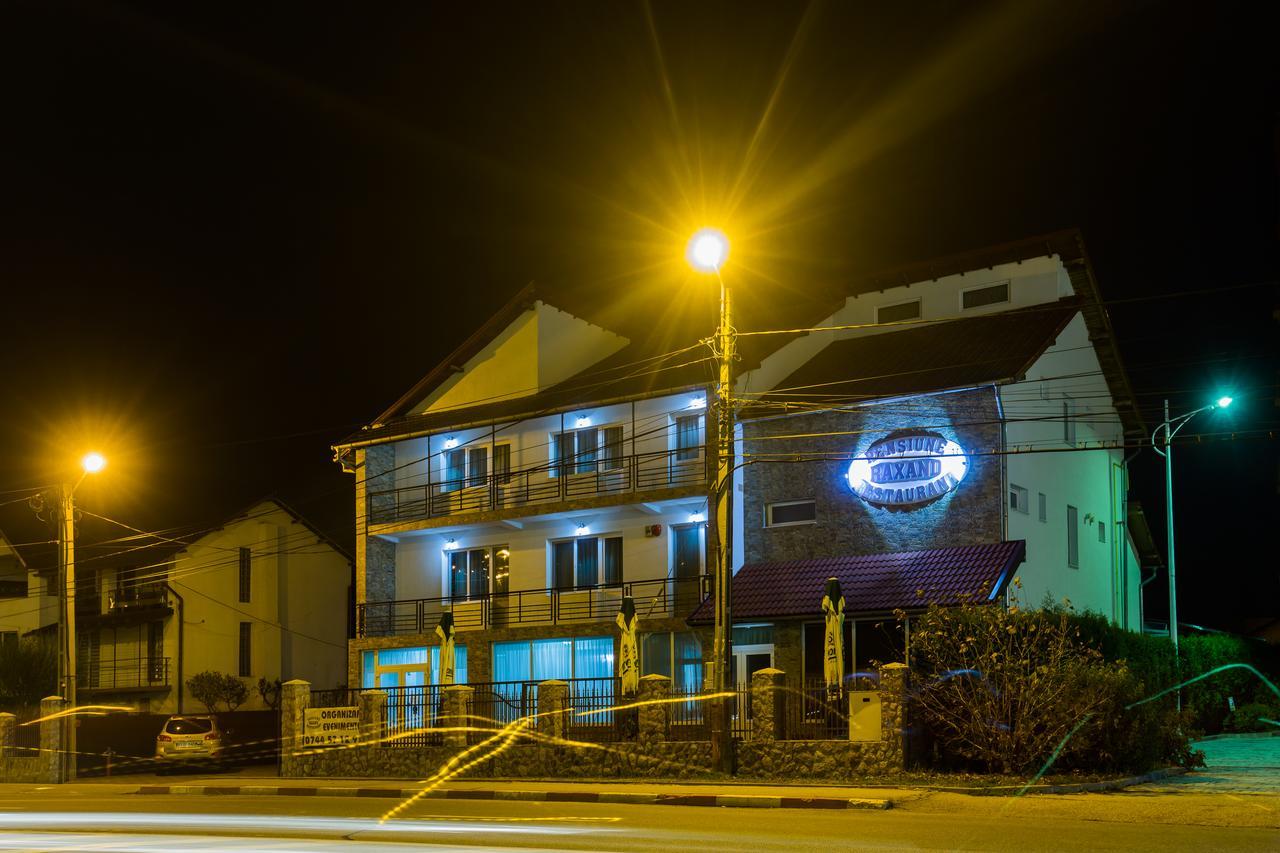 Pensiunea Raxand Mioveni Exterior foto